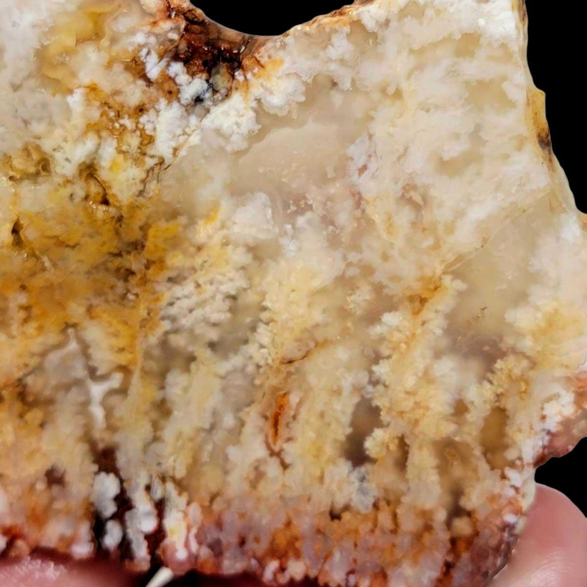 Stinking Water Plume Agate Slab! Lapidary Stone Slab! - LapidaryCentral