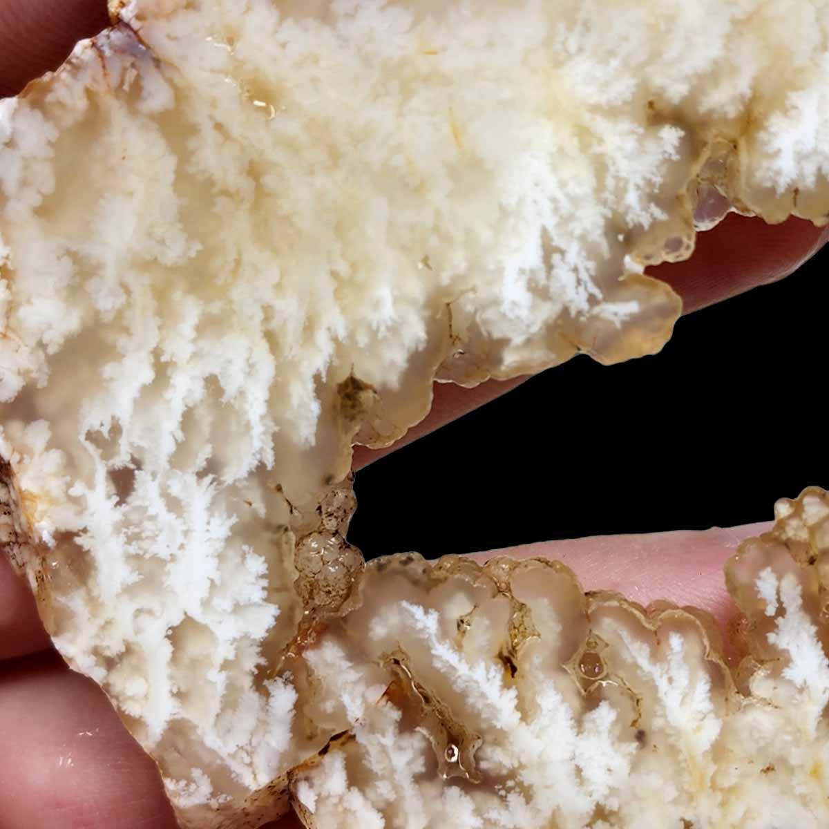 Stinking Water Plume Agate Slab! Lapidary Stone Slab! - LapidaryCentral