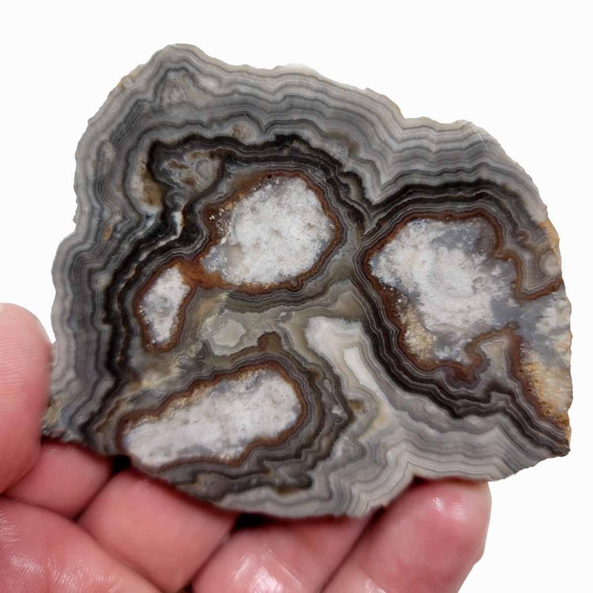 Summerville Lace Agate Slab!  Lapidary Stone Slab! - LapidaryCentral