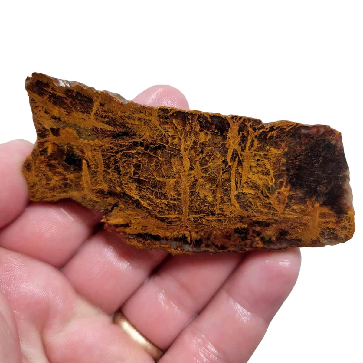 Mystery Jasper Slab! Lapidary Stone Slab! - Lapidary Central