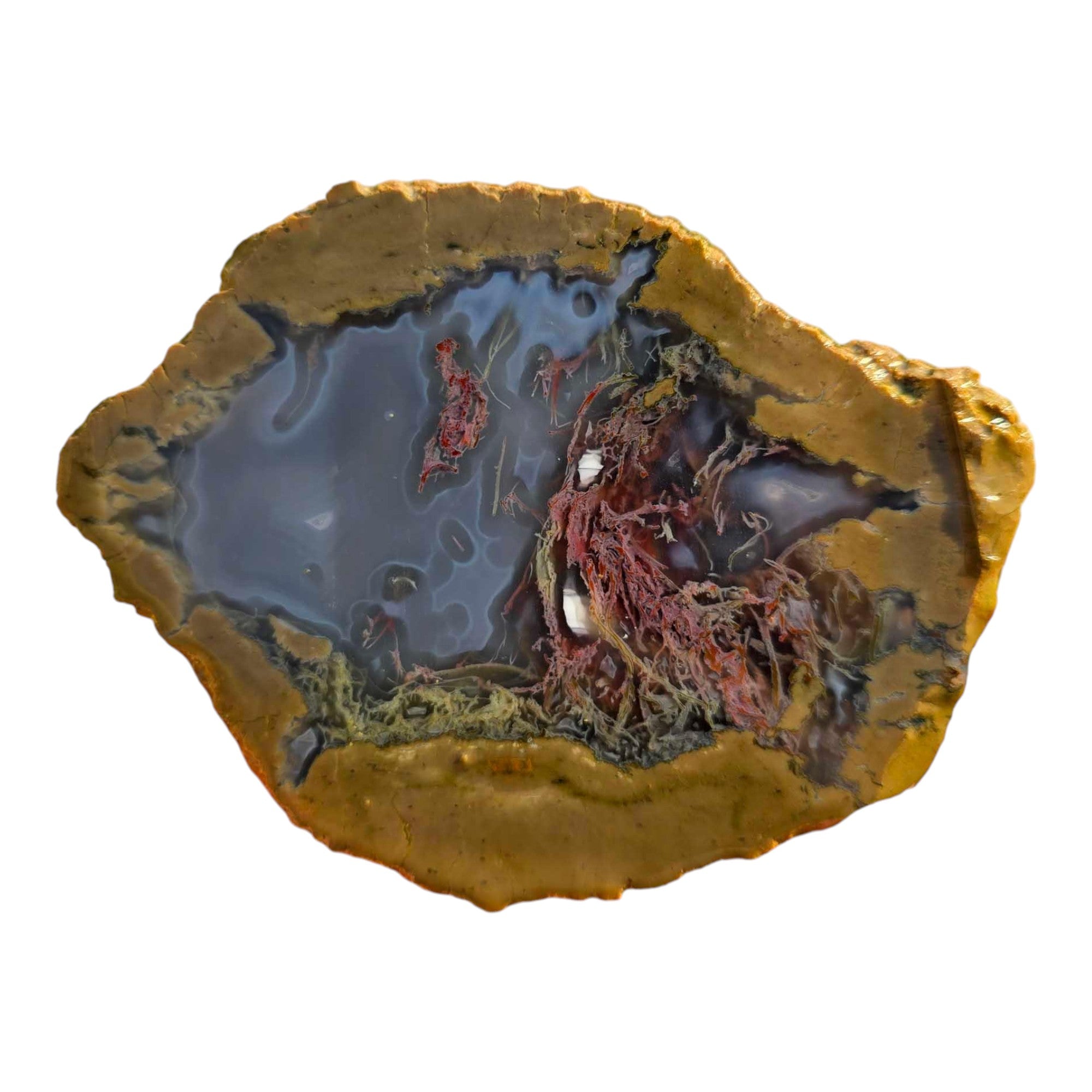 Moss Bed Thunderegg – Cut & Proven with Rare Red and Pink Moss