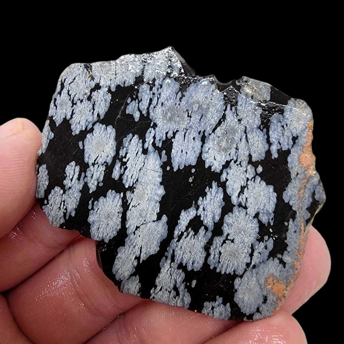 Snowflake Obsidian Slab! Lapidary Stone Slab! - LapidaryCentral