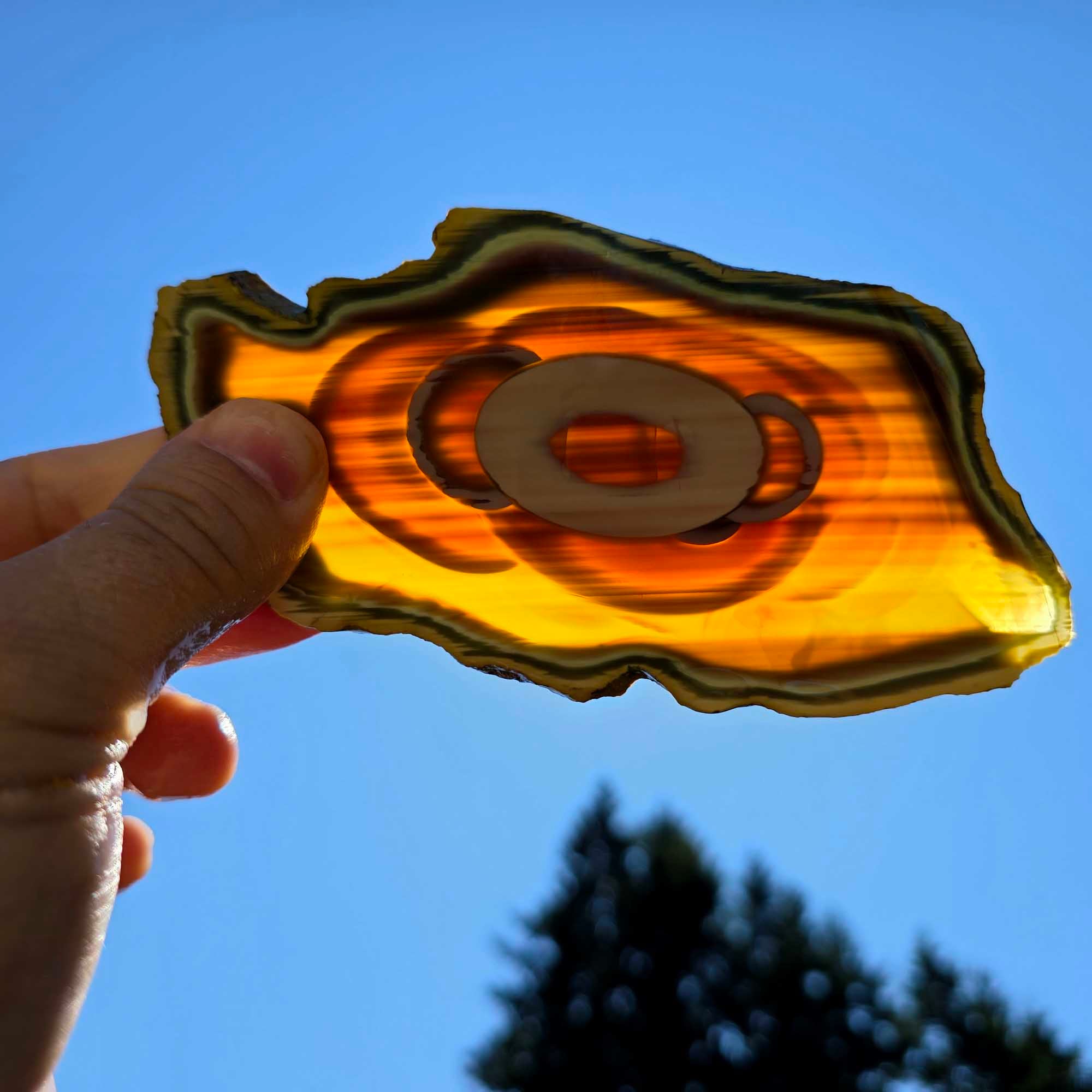 Translucent Royal Imperial Jasper Slab – Rare Backlit Orb Pattern