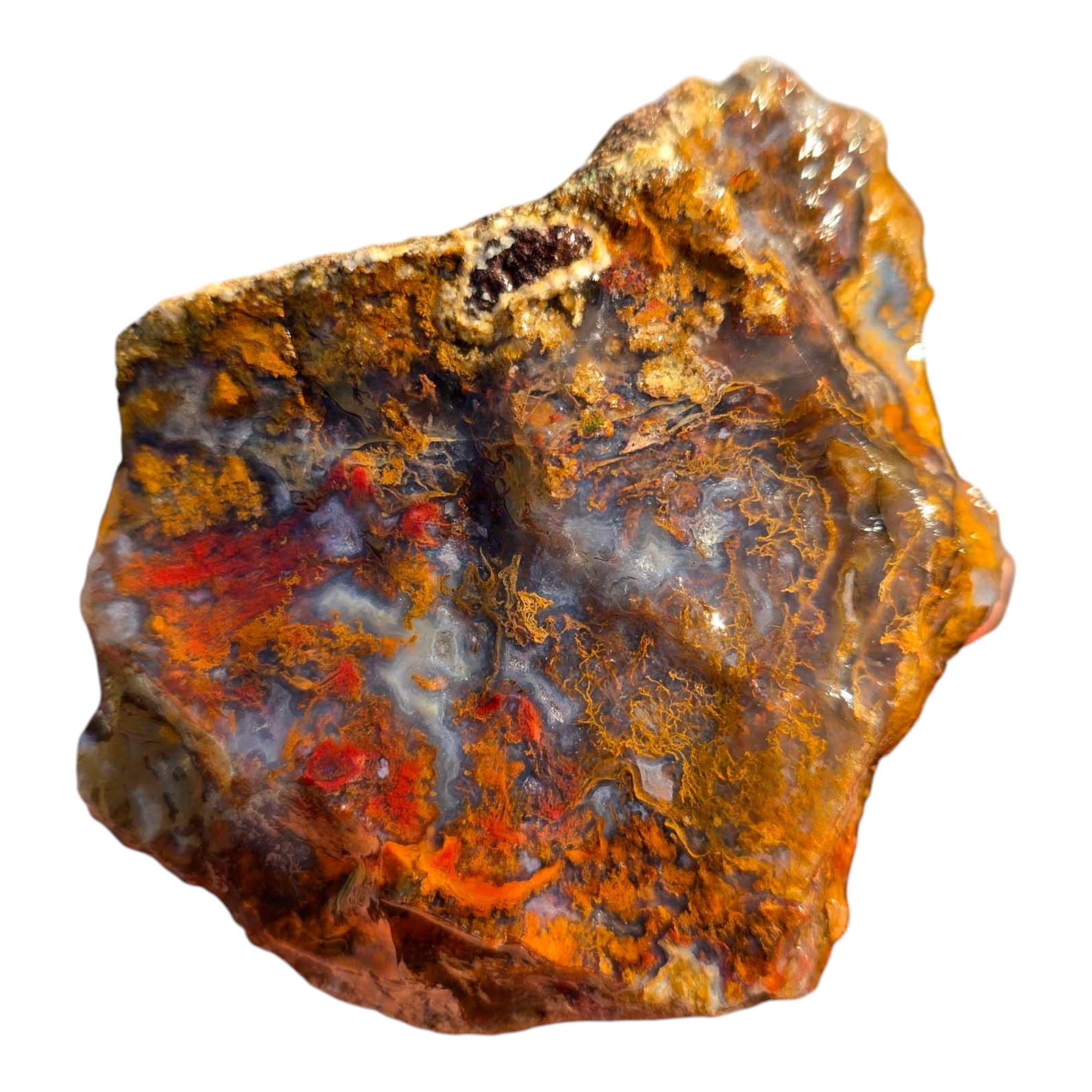 San Carlos Agate Rough – Bright Red & Gold Moss with Blue Agate Inclusions