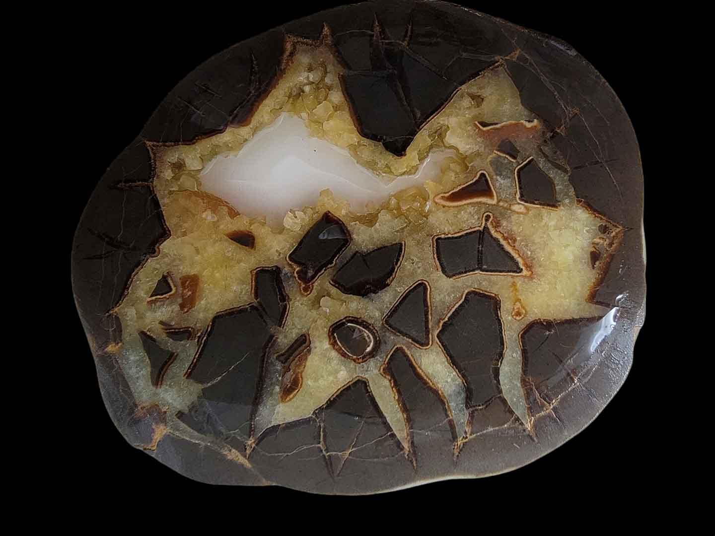 Septarian Nodule Slab! Lapidary Stone Slab! - LapidaryCentral