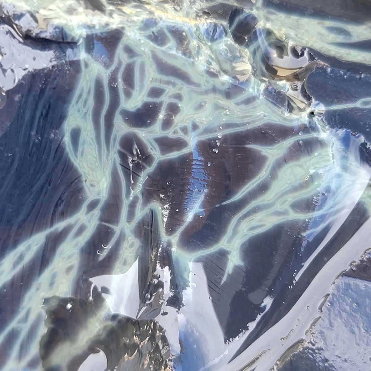 RARE Mexican Spiderweb Obsidian Rough Flatrate! - LapidaryCentral