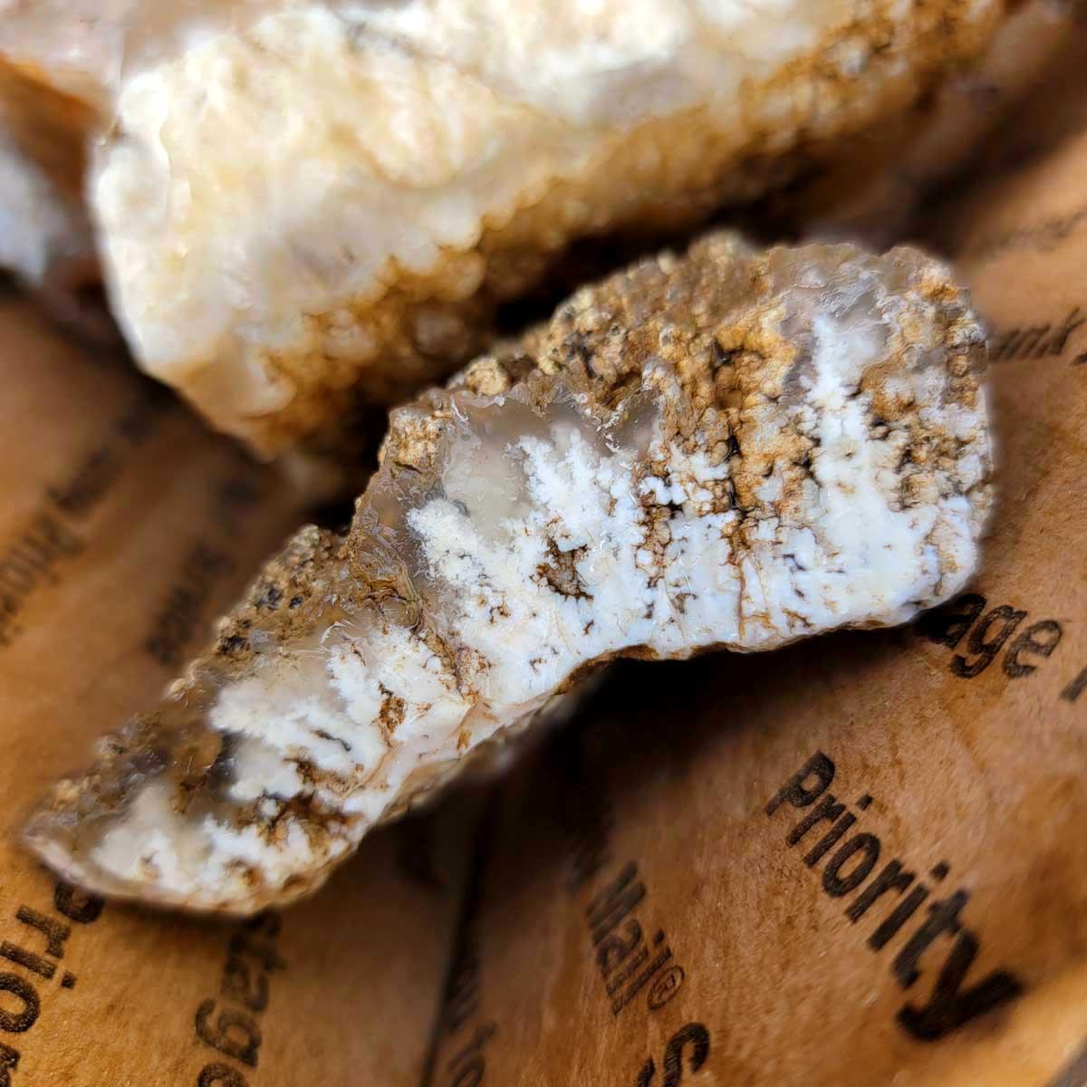 Old Stock Stinking Water Plume Agate Cutting Rough Flatrate! - LapidaryCentral