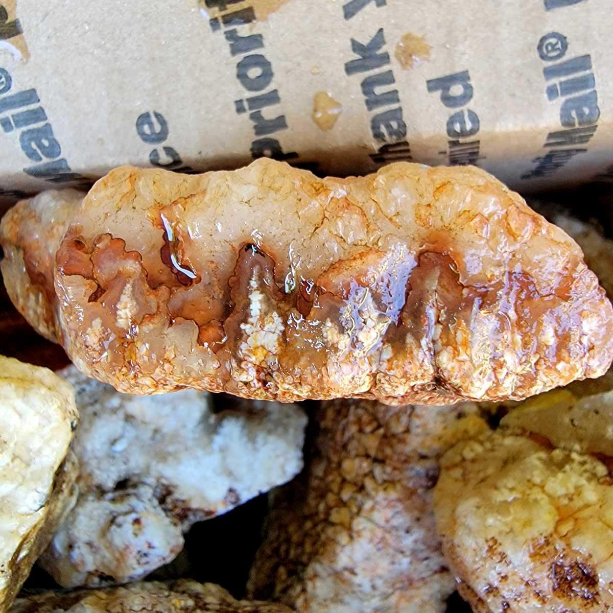 Old Stock Stinking Water Plume Agate Cutting Rough Flatrate! - LapidaryCentral