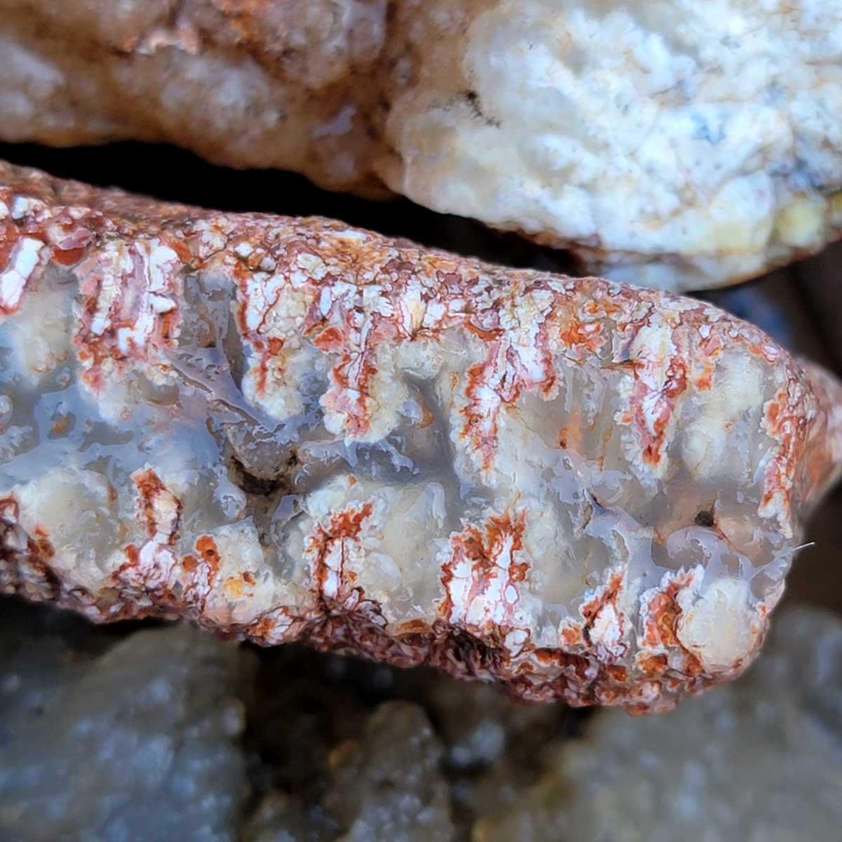Old Stock Stinking Water Plume Agate Cutting Rough Flatrate! - LapidaryCentral