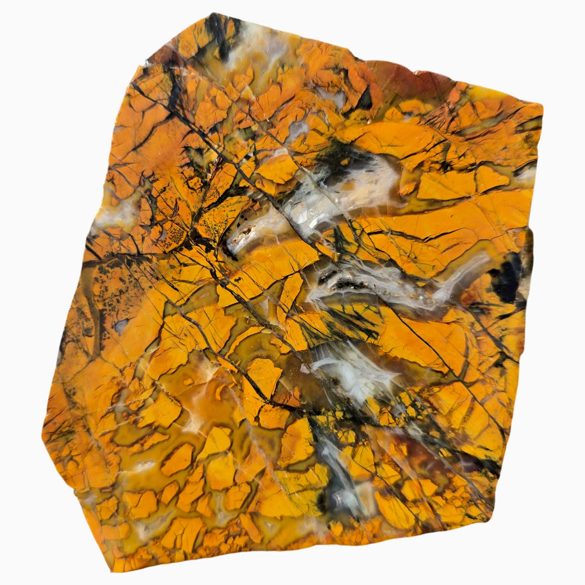 Stone Canyon Jasper Slab – Brecciated Pattern Colors – California 102mm