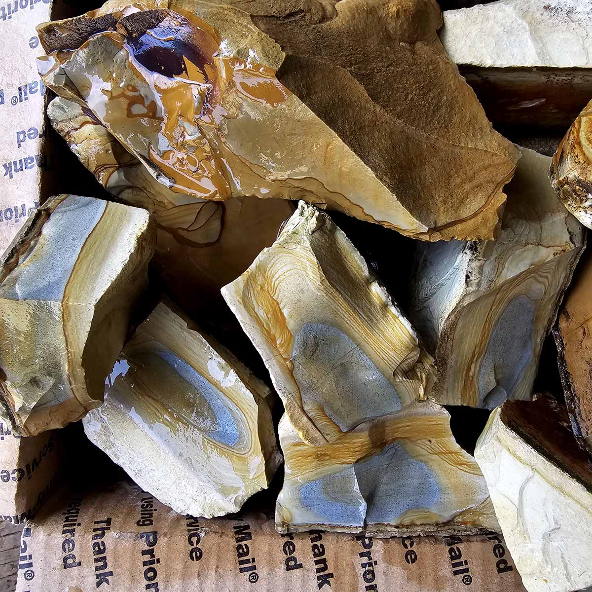 Old Stock Arroyo Picture Jasper Rough Flatrate!