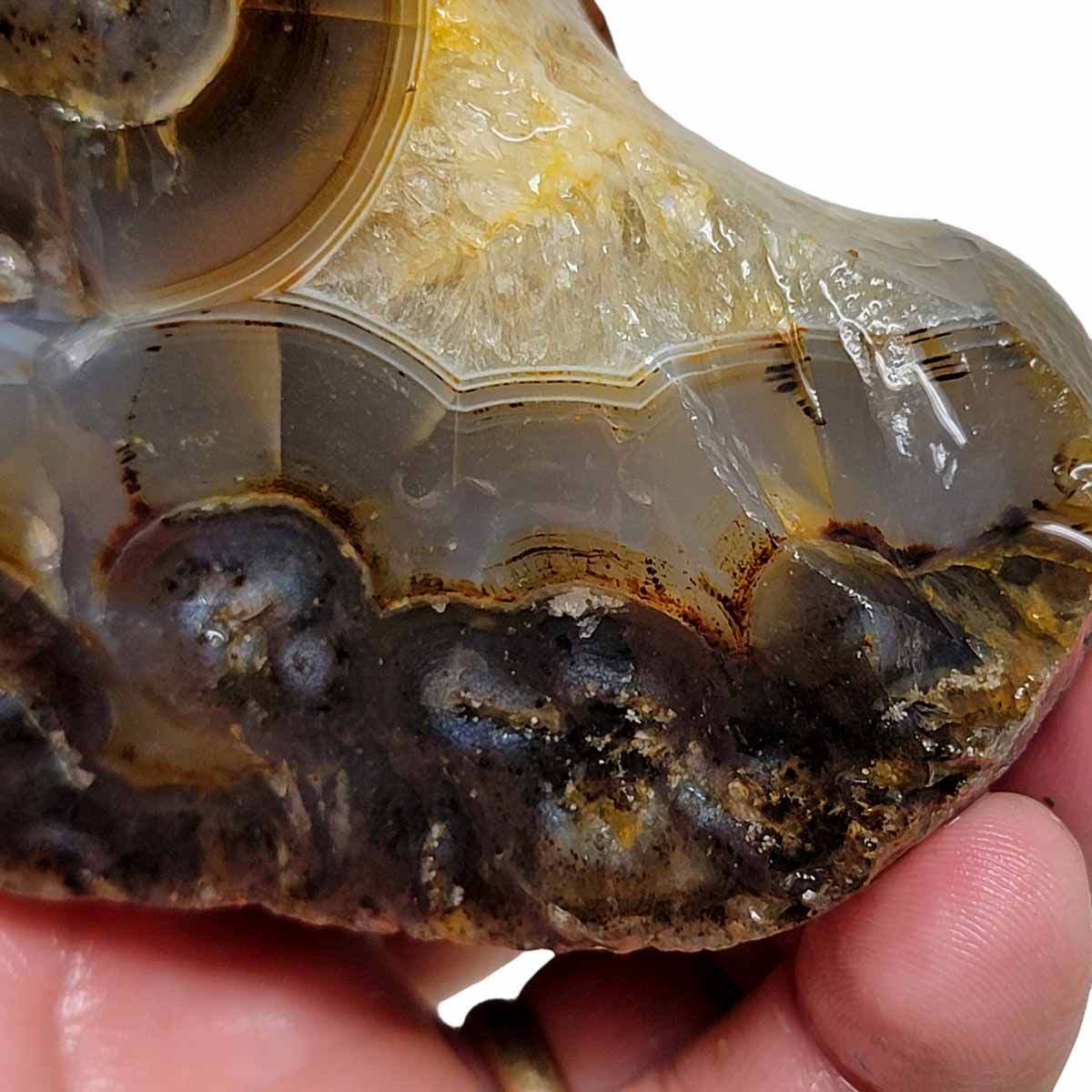 Rare Old Stock Montana Agate Rough Chunk!