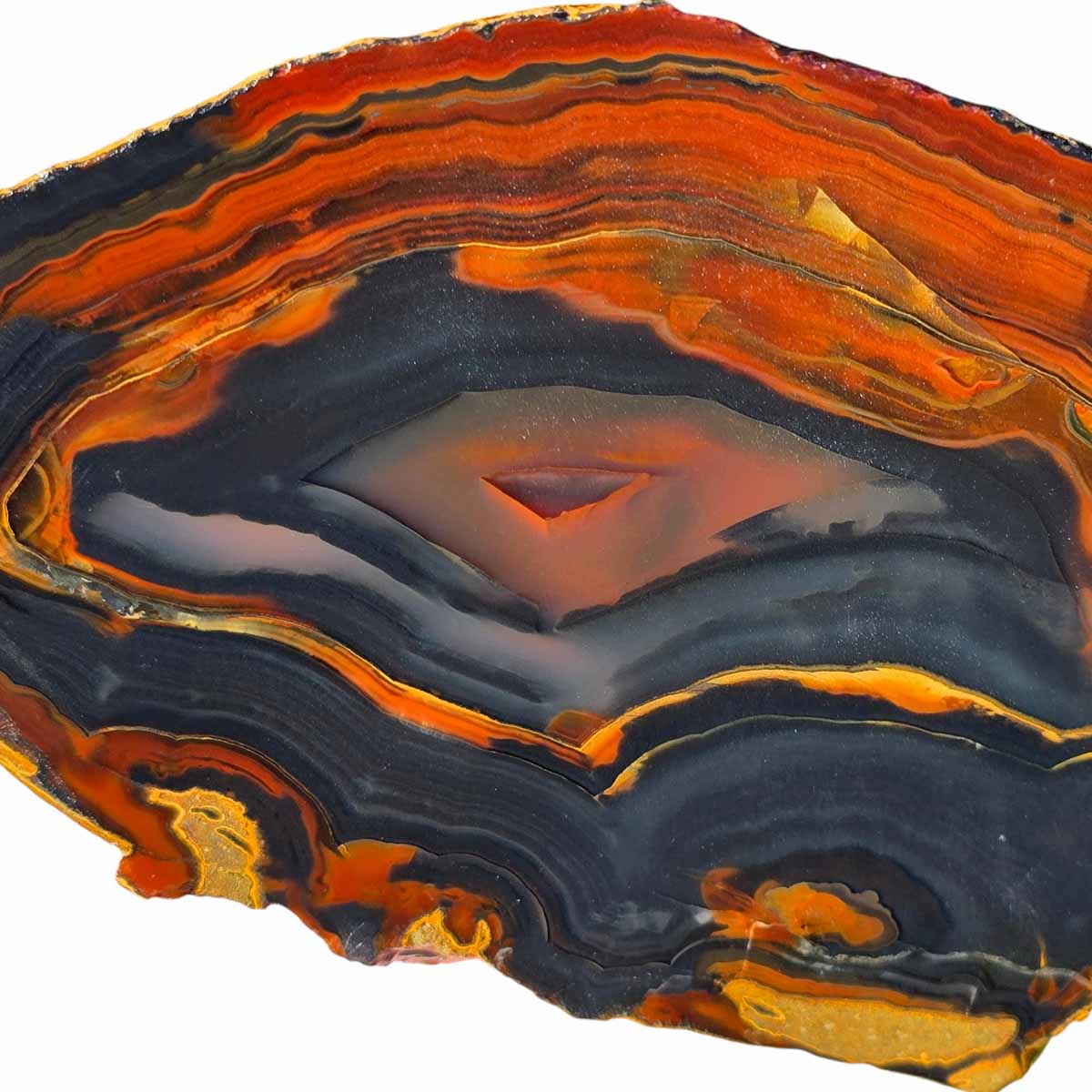 Piranha Brazilian Agate Slab  Lapidary Stone Slice Cut Rock