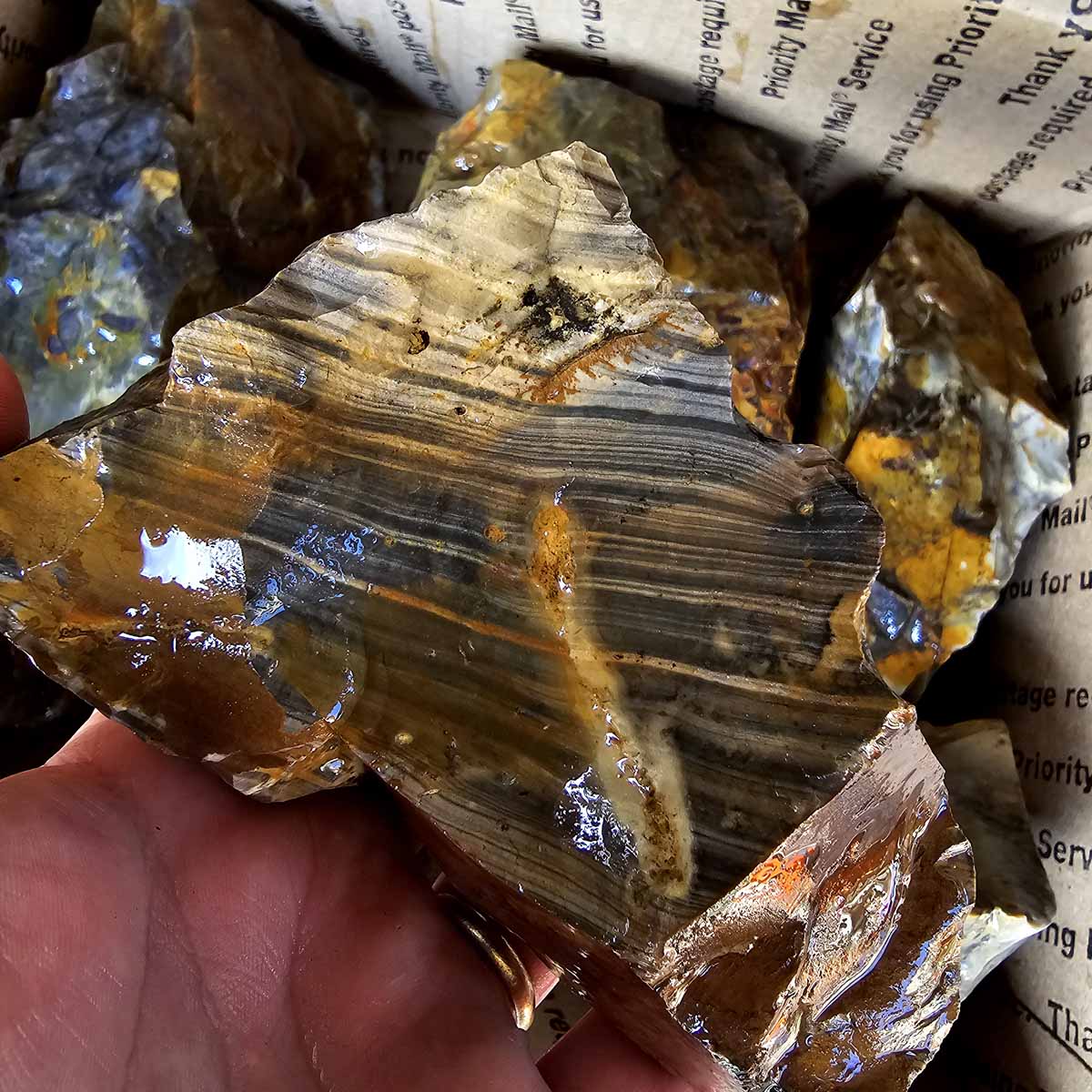 Ohio Flint Lapidary Cutting Rough Flatrate