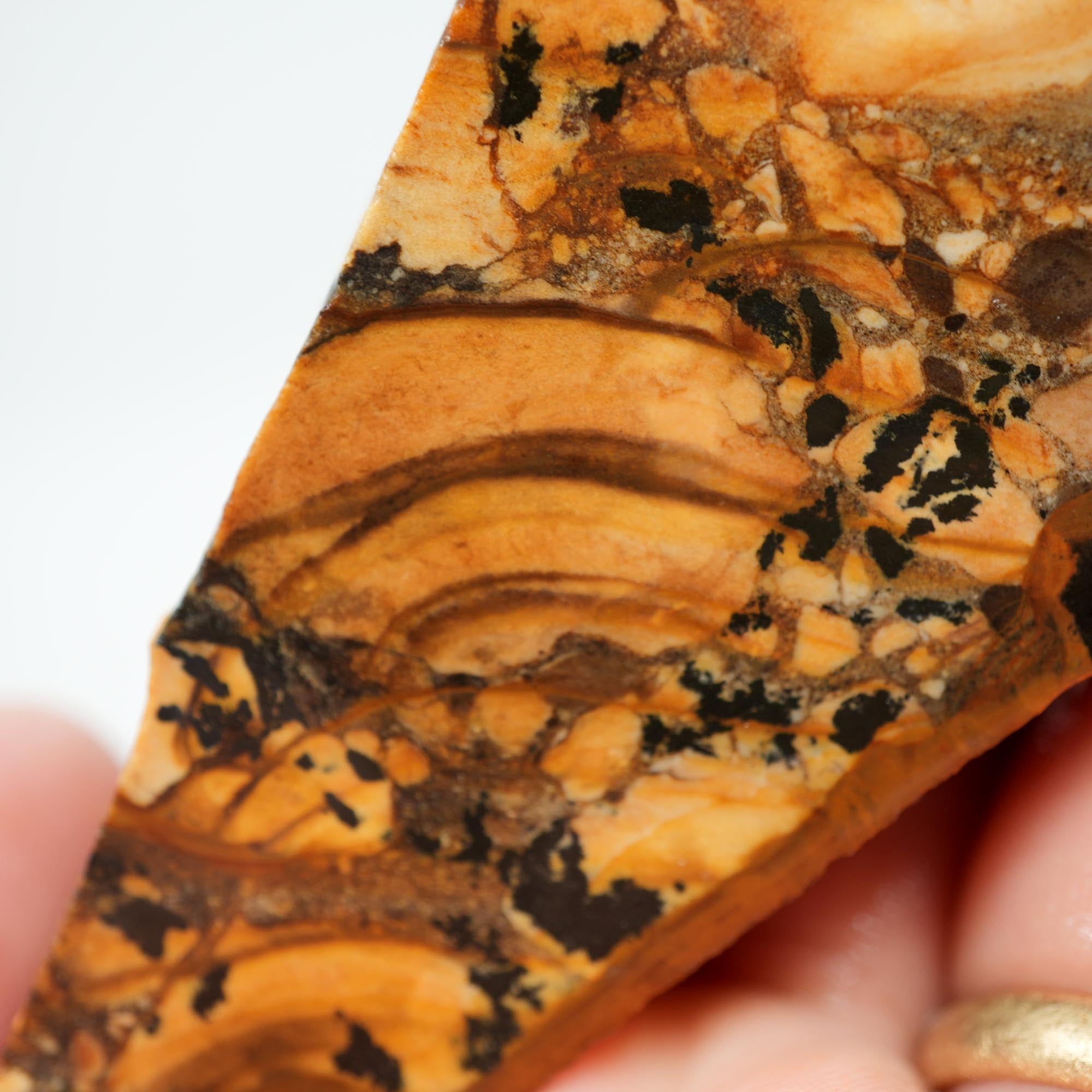 Biggs Blue Picture Jasper Endcut - Rolling Hills with Dendrites