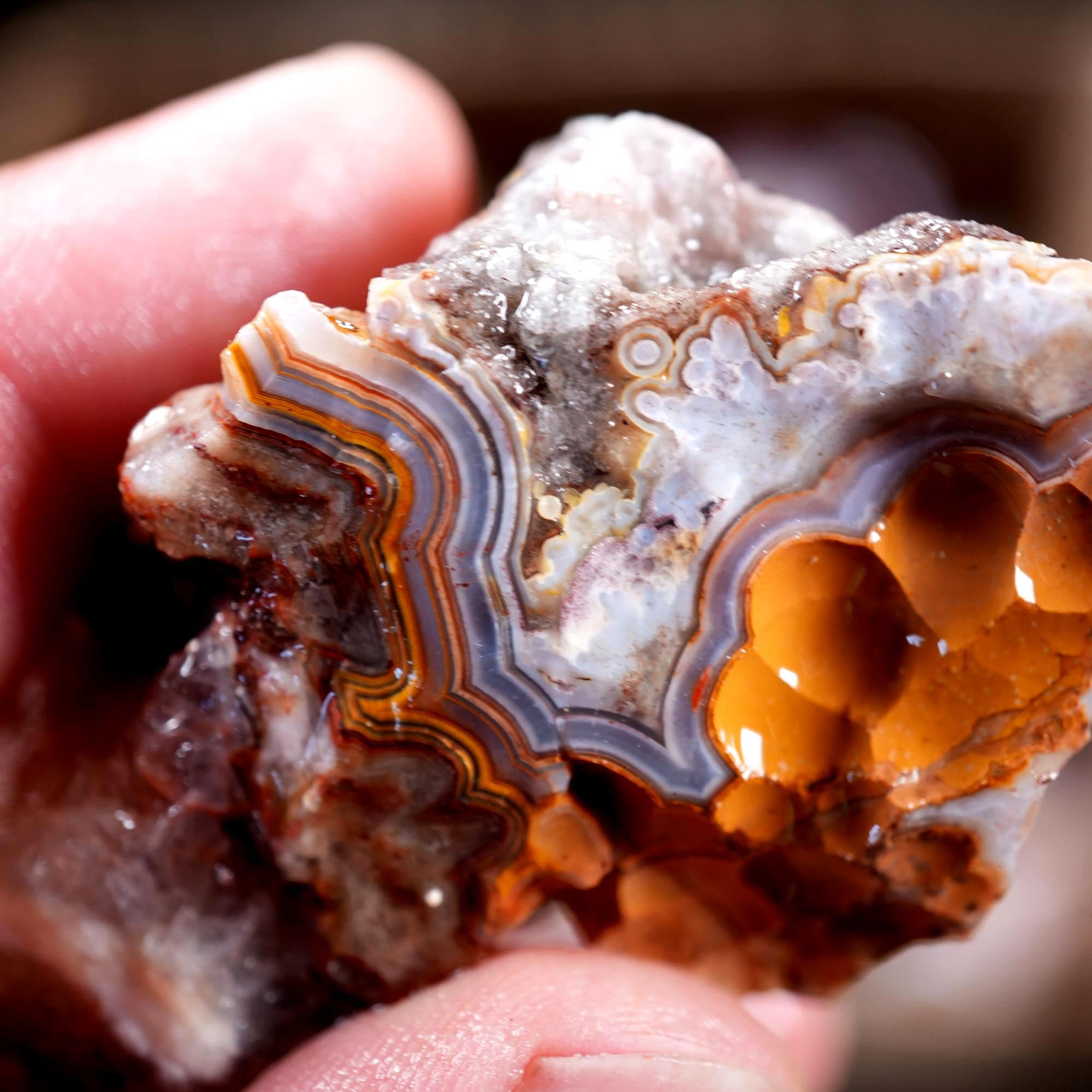 Crazy Lace Agate Tumbling Rough Flatrate - Premium Lace Mexican