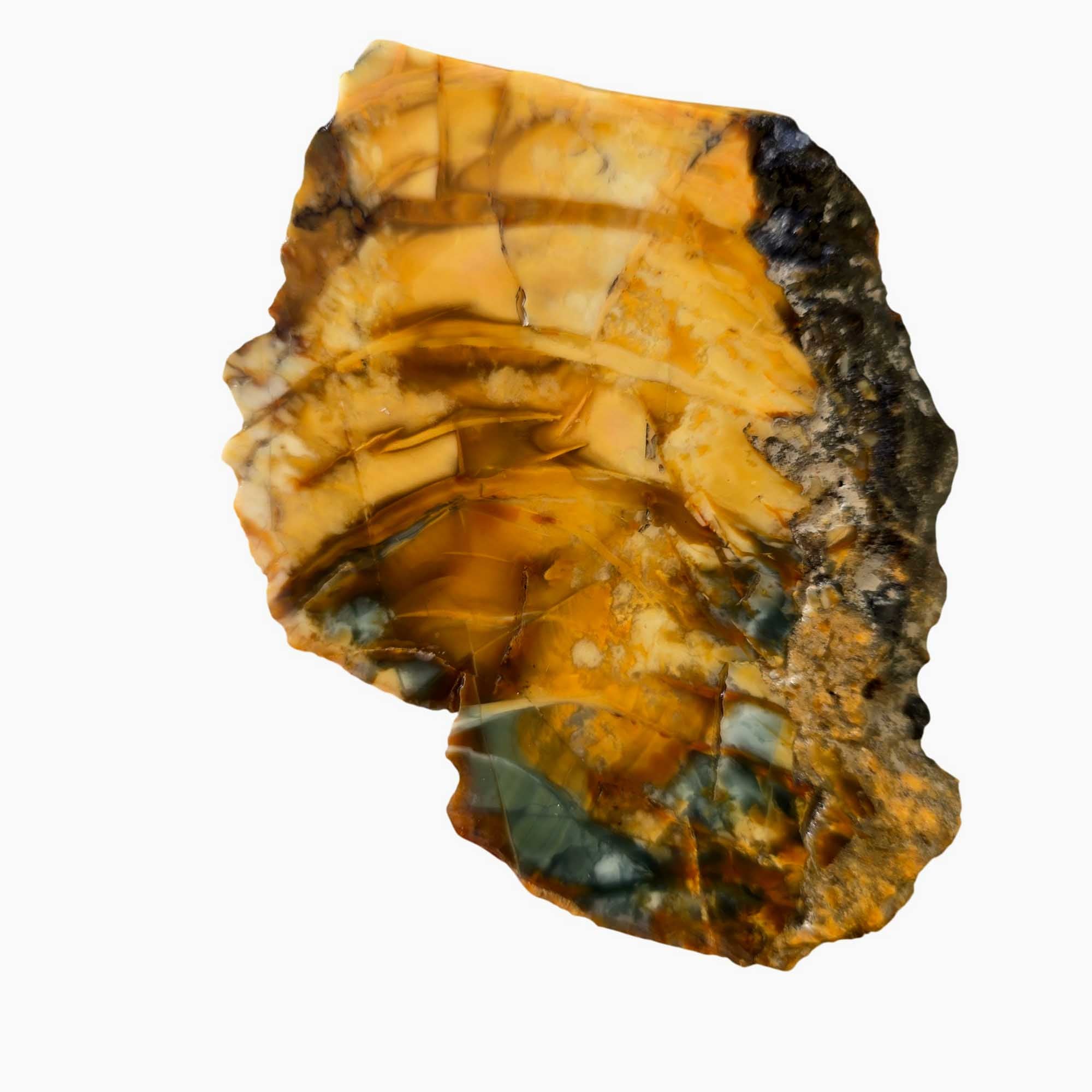 Morrisonite Jasper Slab – Butterscotch Sky Blue Orb Formations #3658-Photo1