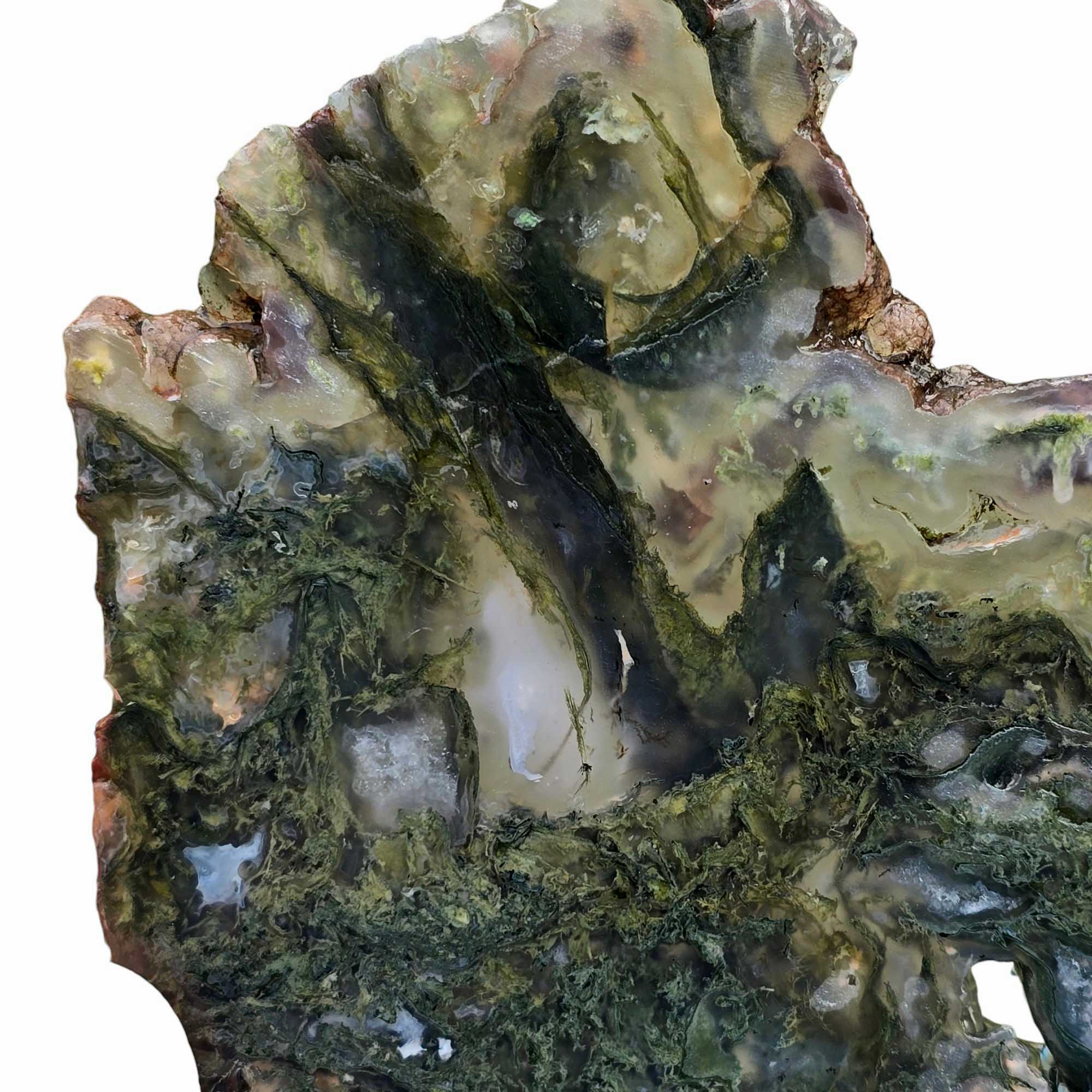 Maury Mountain Moss Agate Slab – Green with Clear Agate Inclusions from Oregon