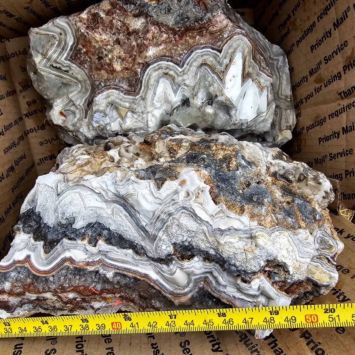 Old Vein Bubble Lace Agate Lapidary Rough Flatrate