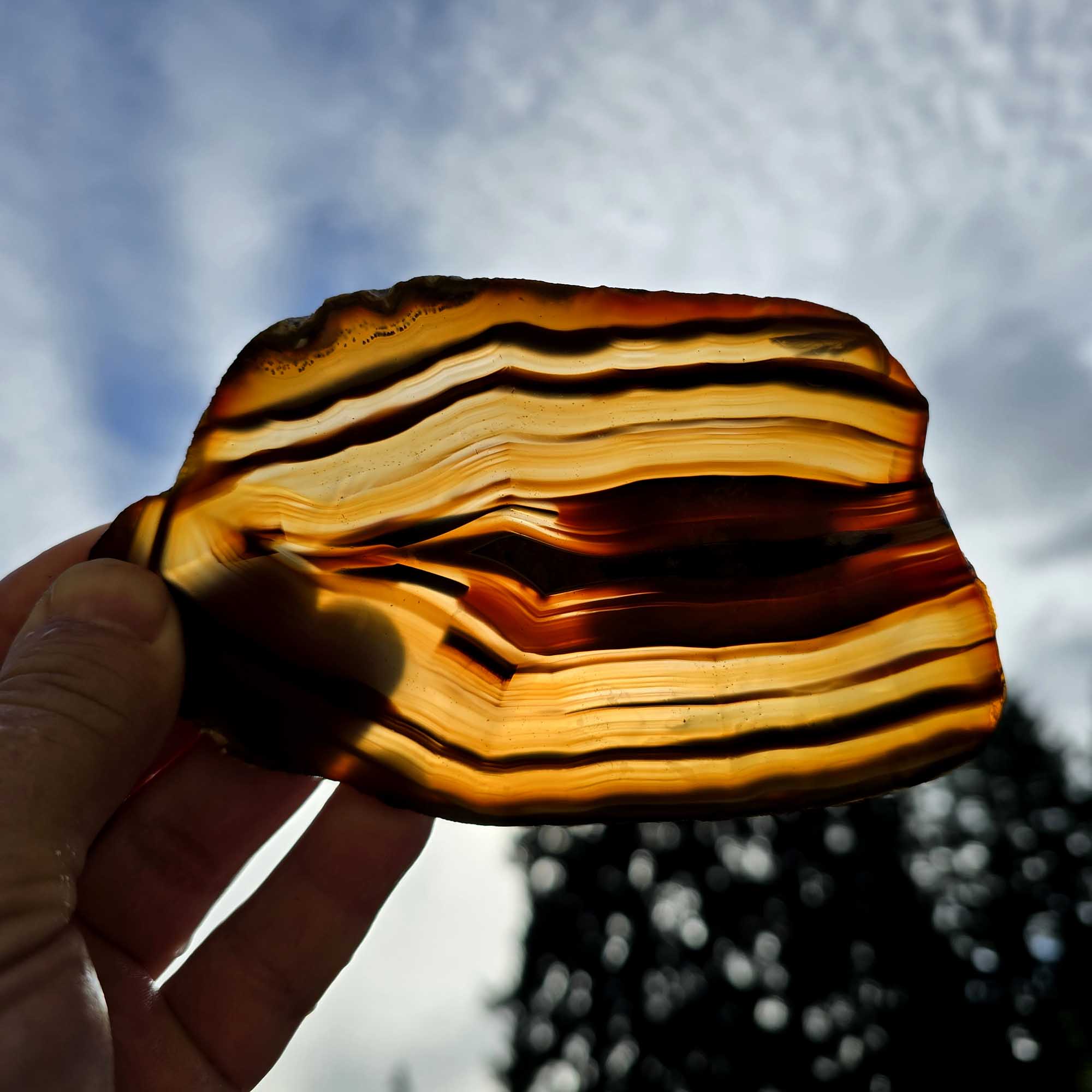 Brazilian Agate Slab – Transparent Piranha Colors Red Orange Backlit #3663-Photo1