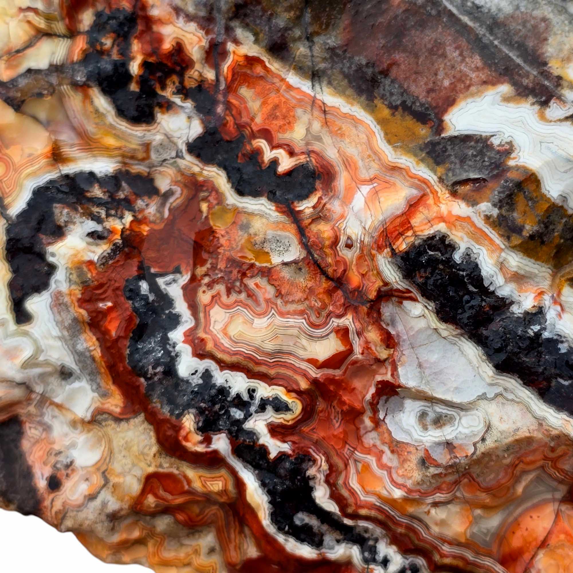 Lace Roug Large Crazy Lace Agate Rough – Bright Red & Orange High-Grade Lace, Gr