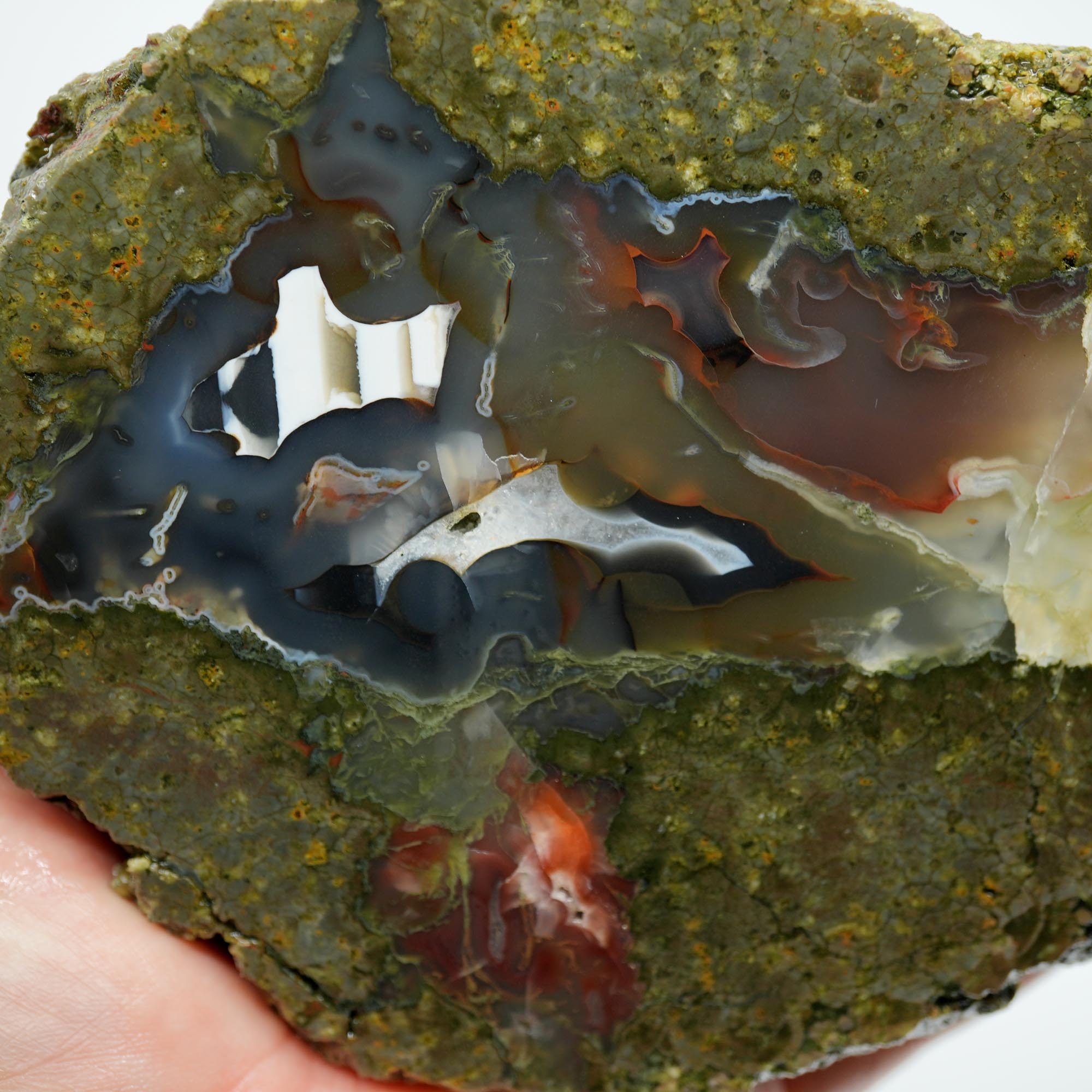 Desolation Canyon Thunderegg Cut and Proven - Red White Blue Fortification