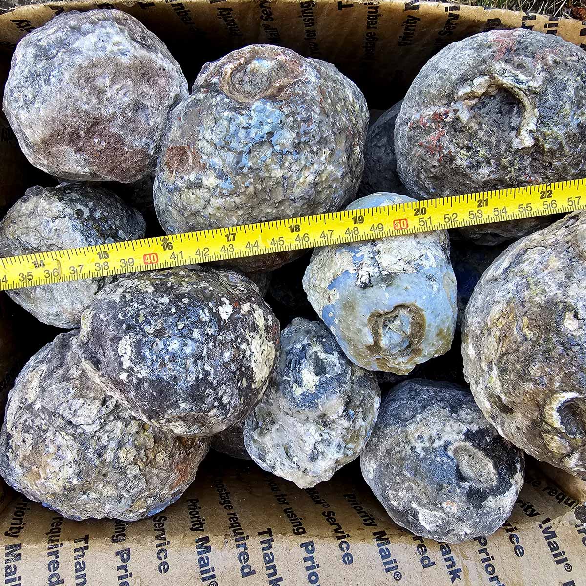 The Rough Geode Solid Coconut Geode Thundereggs Las Choyas Lapidary Rough Flatrate