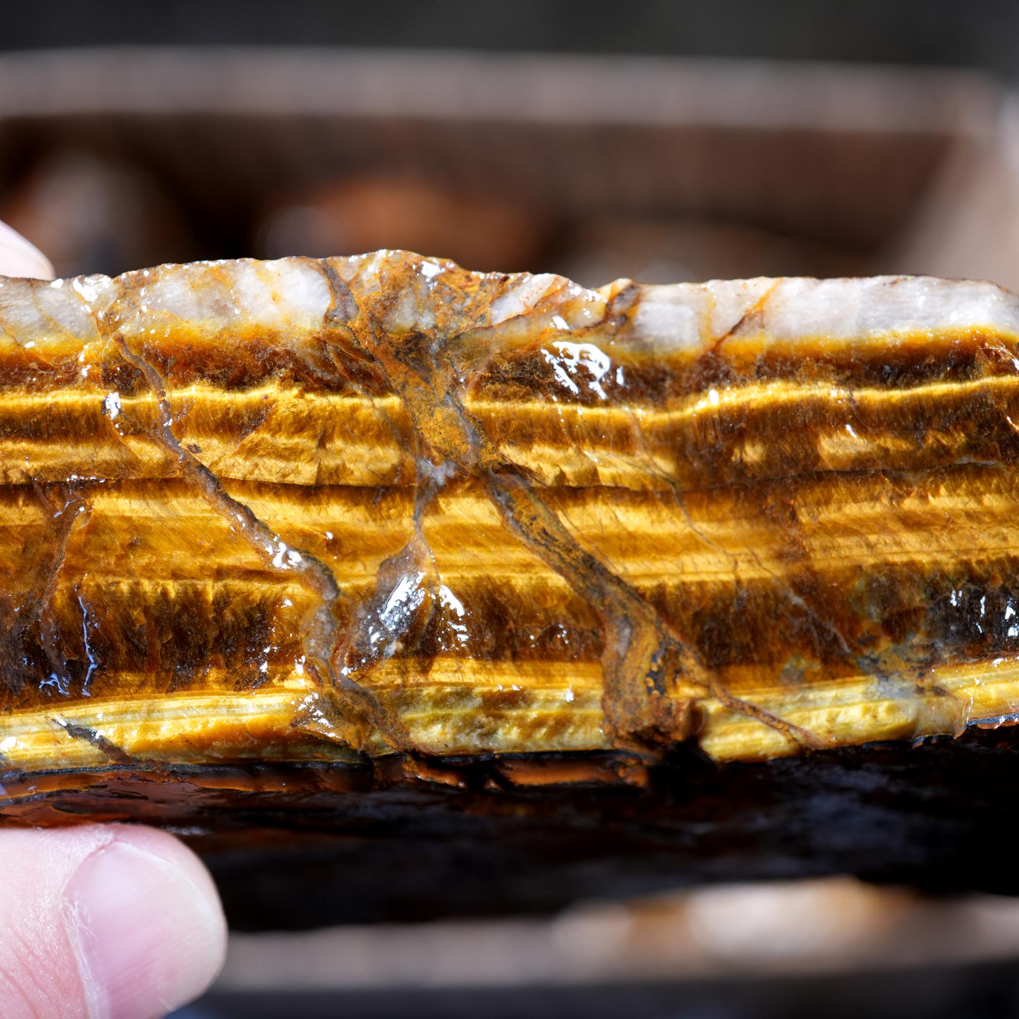 Variegated Golden Tiger Eye Rough Flatrate - Golden Flash Display Box