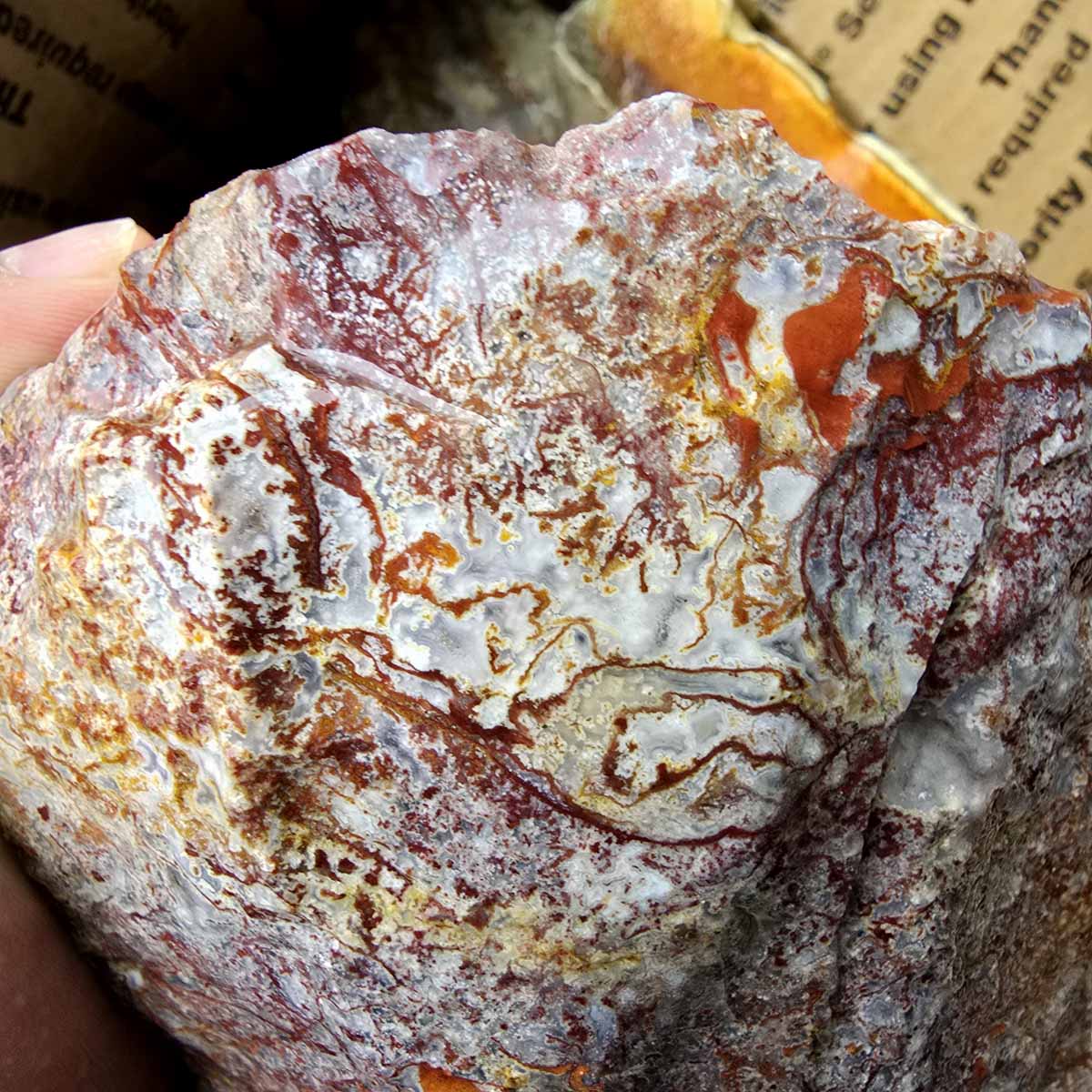 Lapidary Agate Jasper Mix Cutting Rough Flatrate Slicing Stones Rock Box