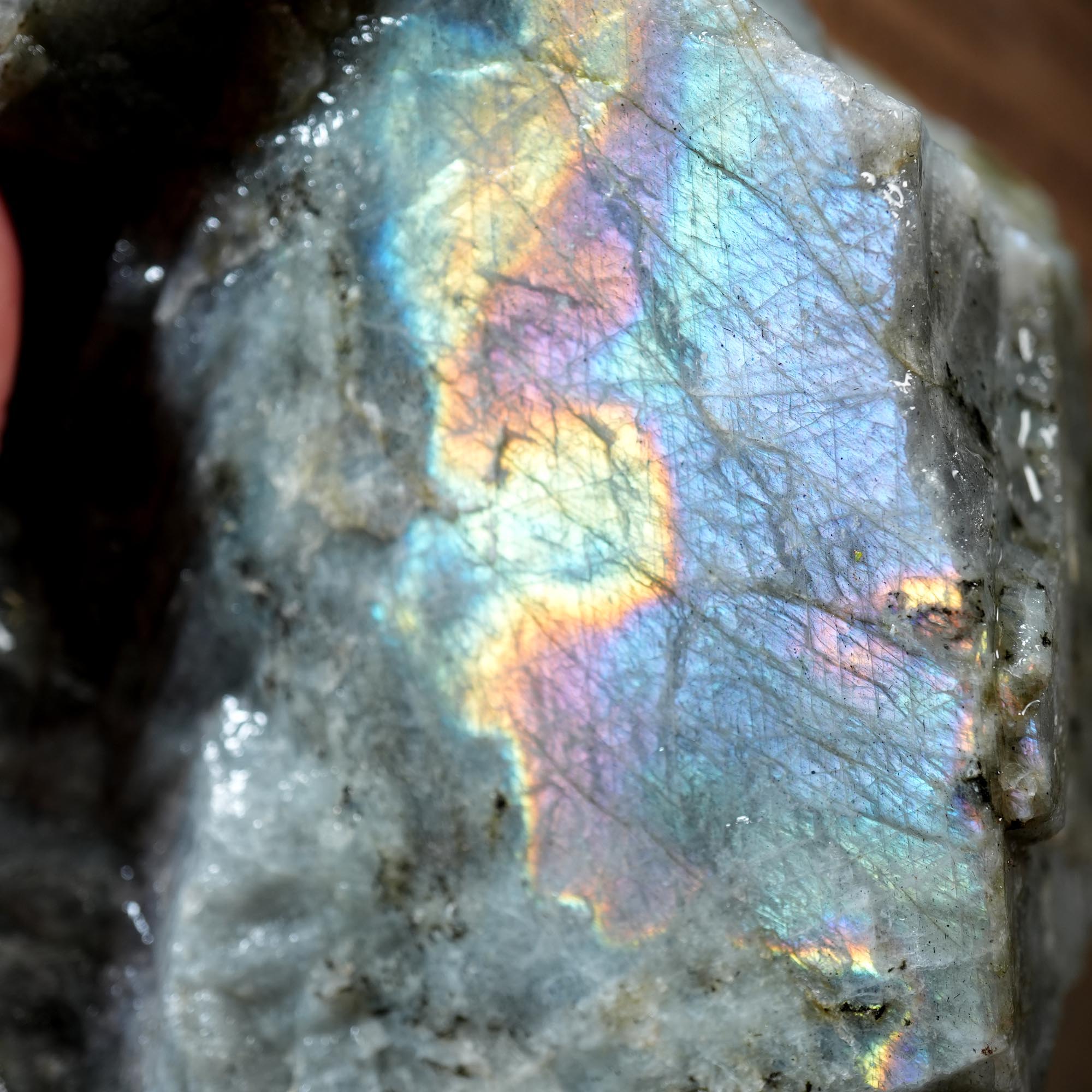 Labradorite Cutting Rough Mix Flatrate - Rare Colored & Fire Flash