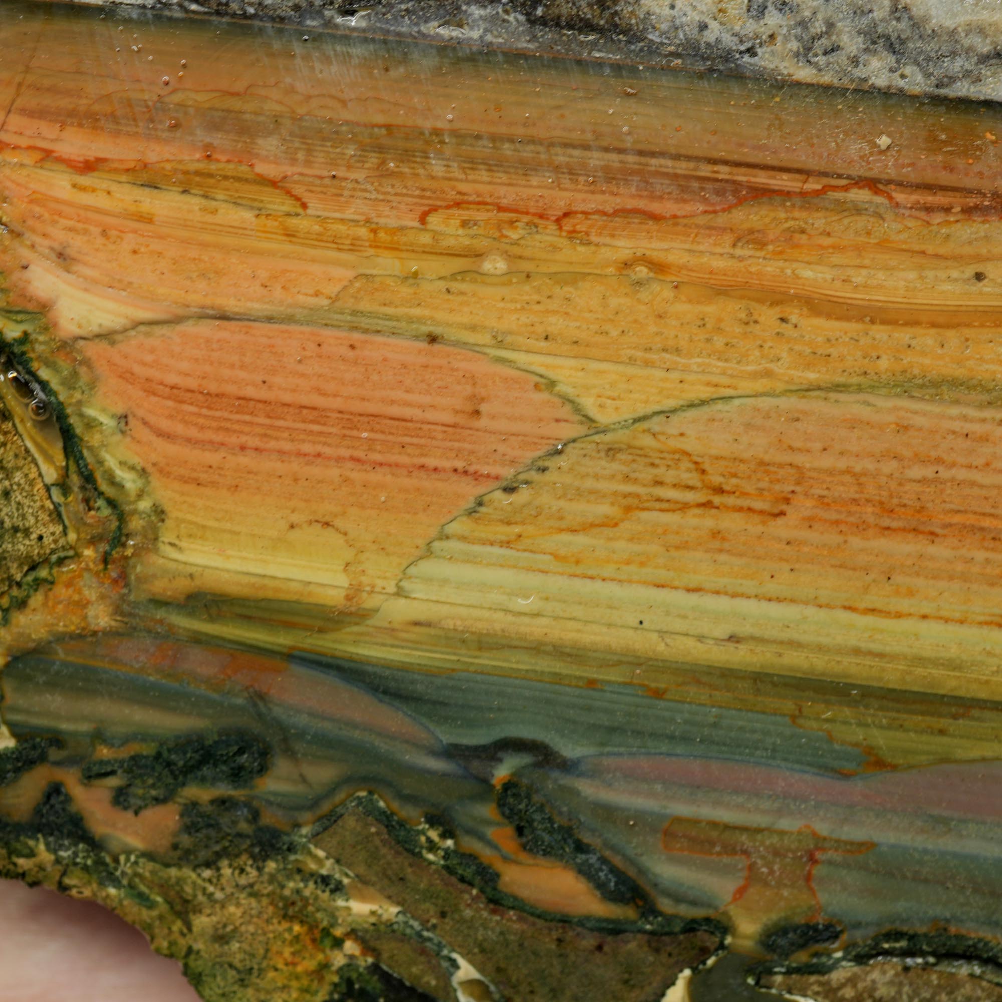 Utah Septarian Nodule Rough Chunk!