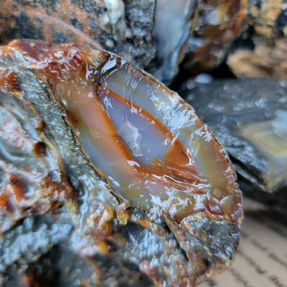 Brazilian Agate Cutting Rough Flatrate!