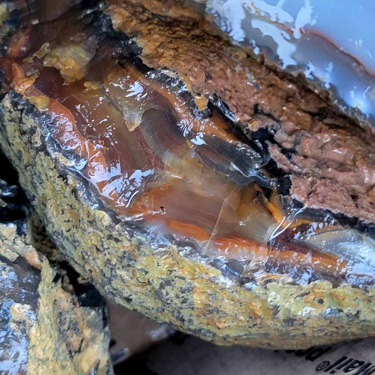 Brazilian Agate Cutting Rough Flatrate!