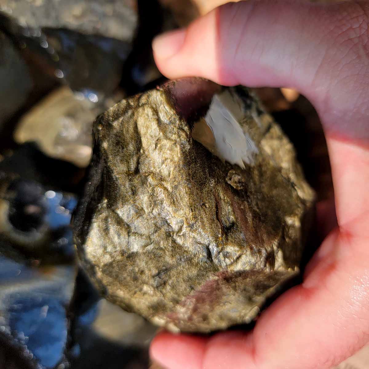 Mexican Gold Sheen Obsidian Rough Flatrate!