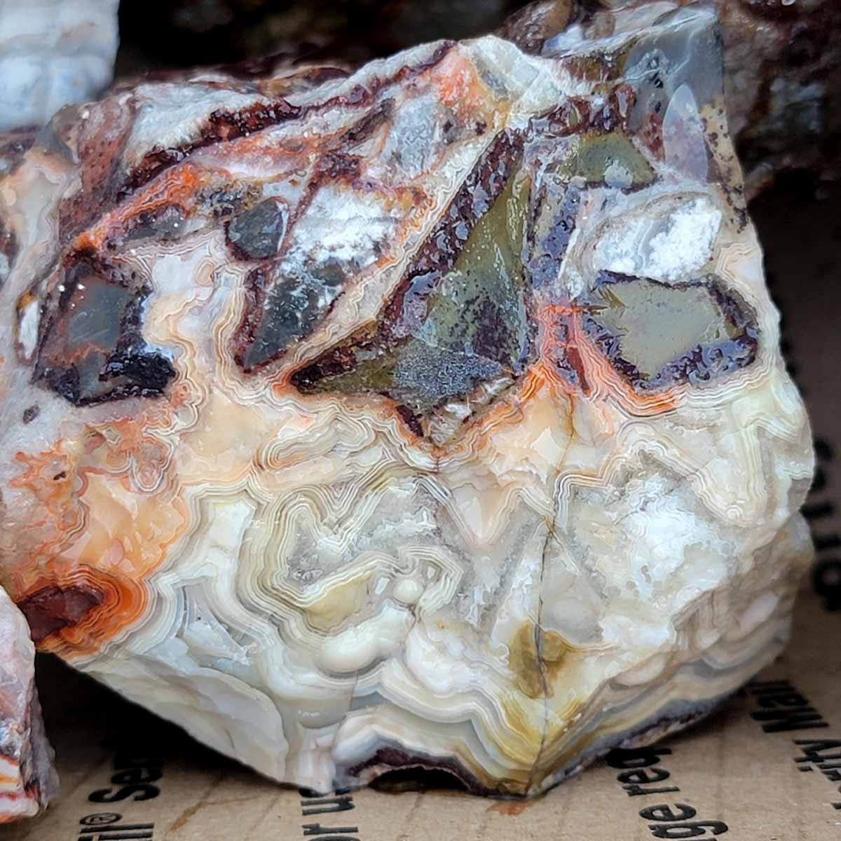 Mexican Crazy Lace Agate Rough Flatrate!