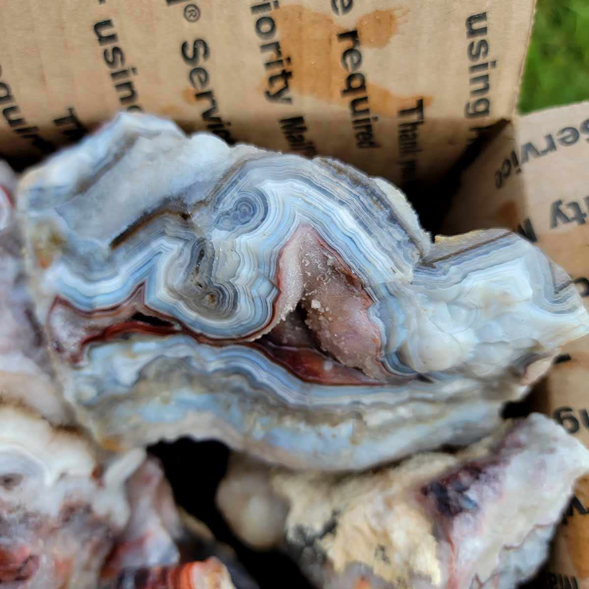 Mexican Crazy Lace Agate Rough Flatrate!