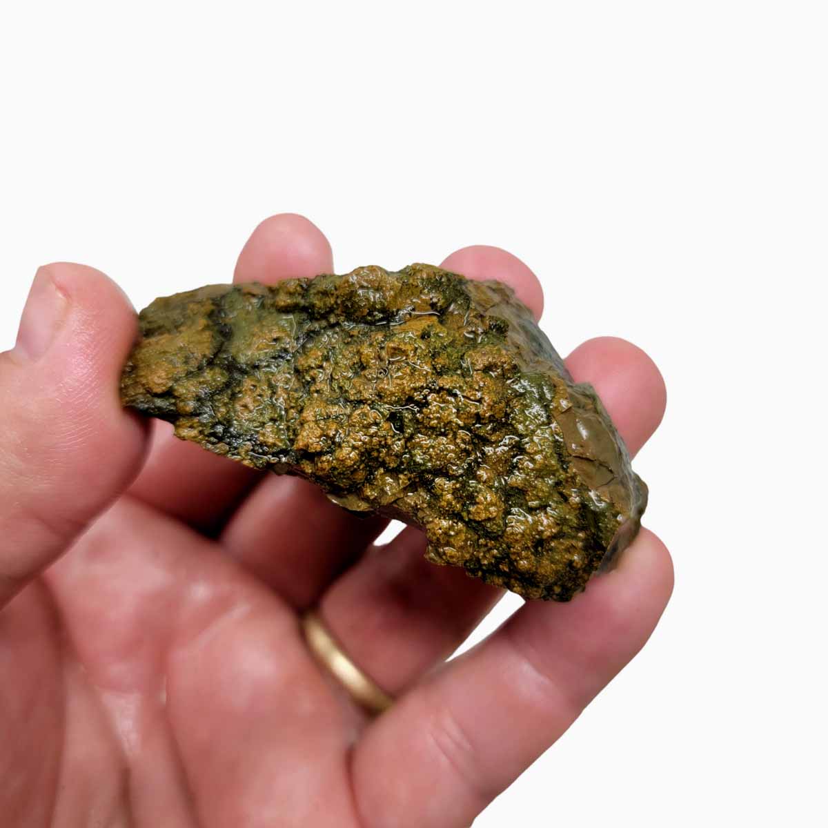 Priday Moss Bed Egg Rough Chunk!