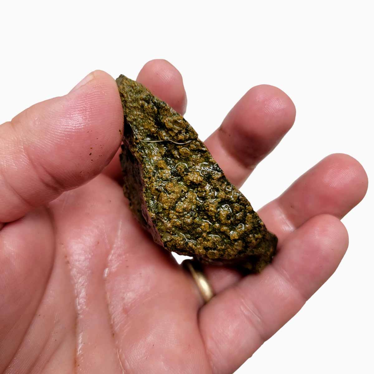 Priday Moss Bed Egg Rough Chunk!