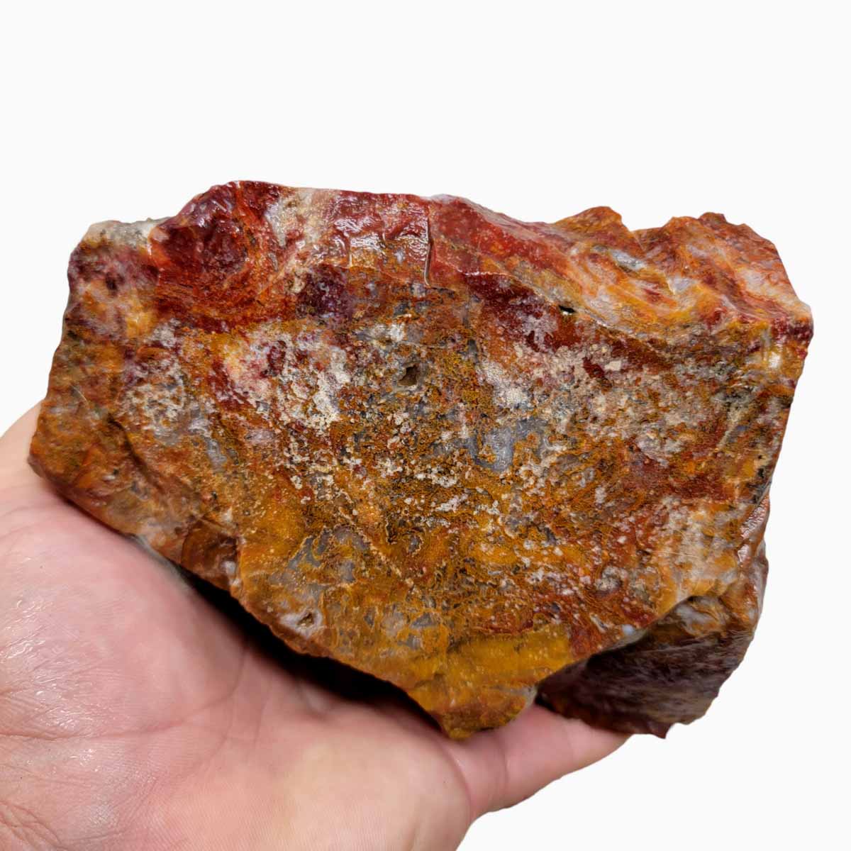 Agua Nueva Agate New Water Agate Rough Chunk!