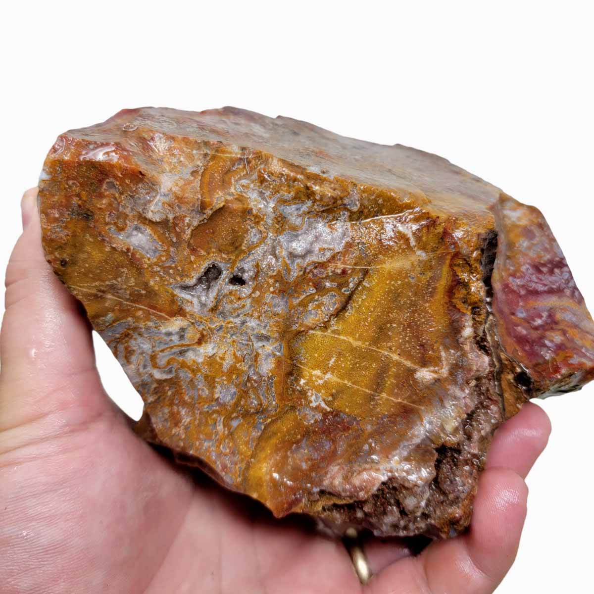 Agua Nueva Agate New Water Agate Rough Chunk!