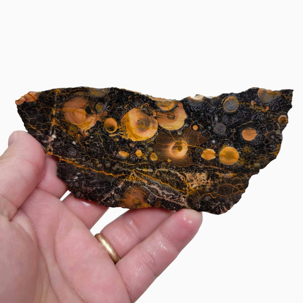 Galaxy Galactica Rhyolite Slab!  Lapidary Stone Slab!