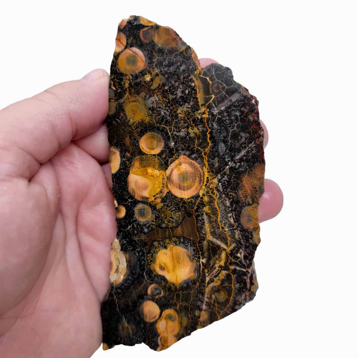 Galaxy Galactica Rhyolite Slab!  Lapidary Stone Slab!