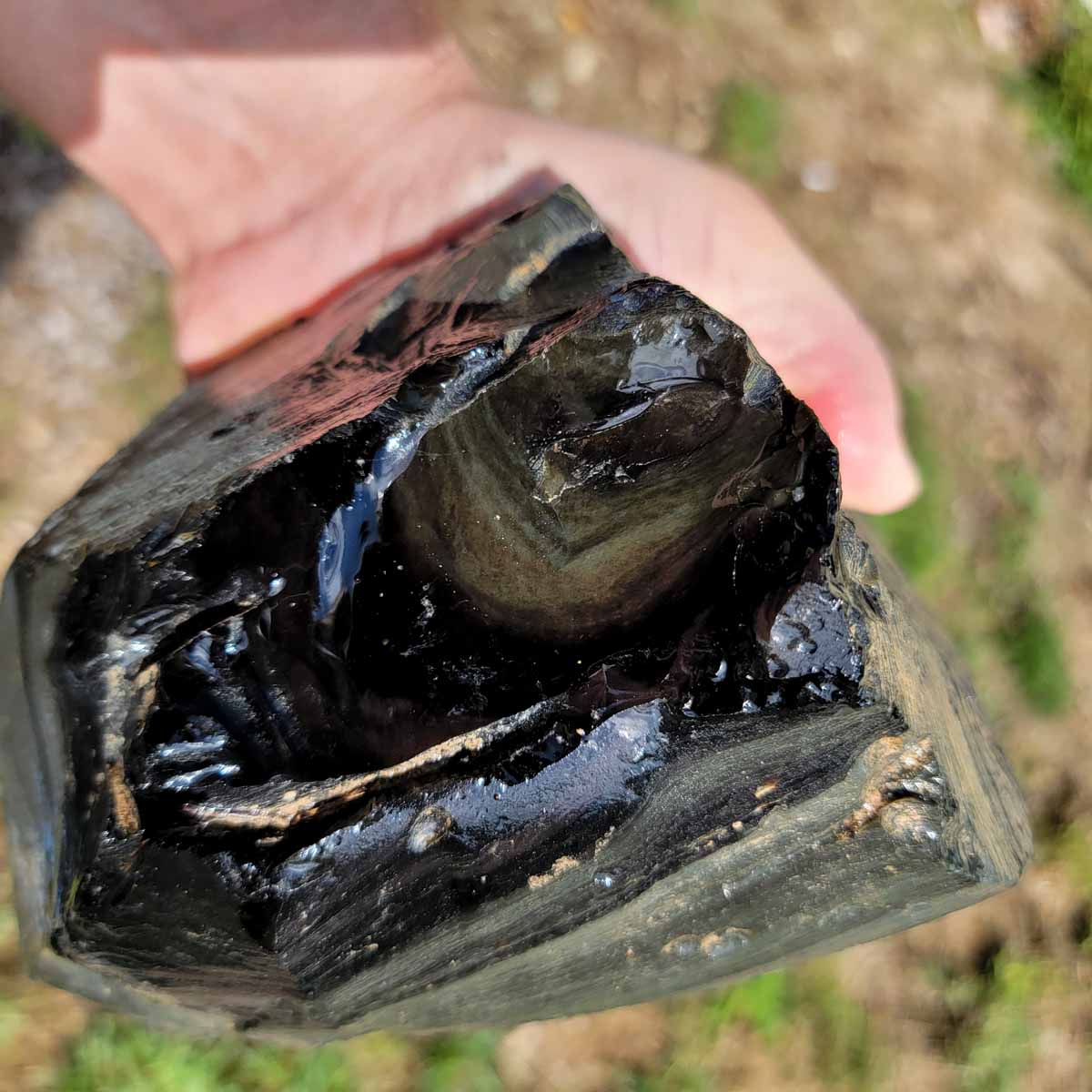 Large Mexican Velvet Obsidian Rough Chunk!