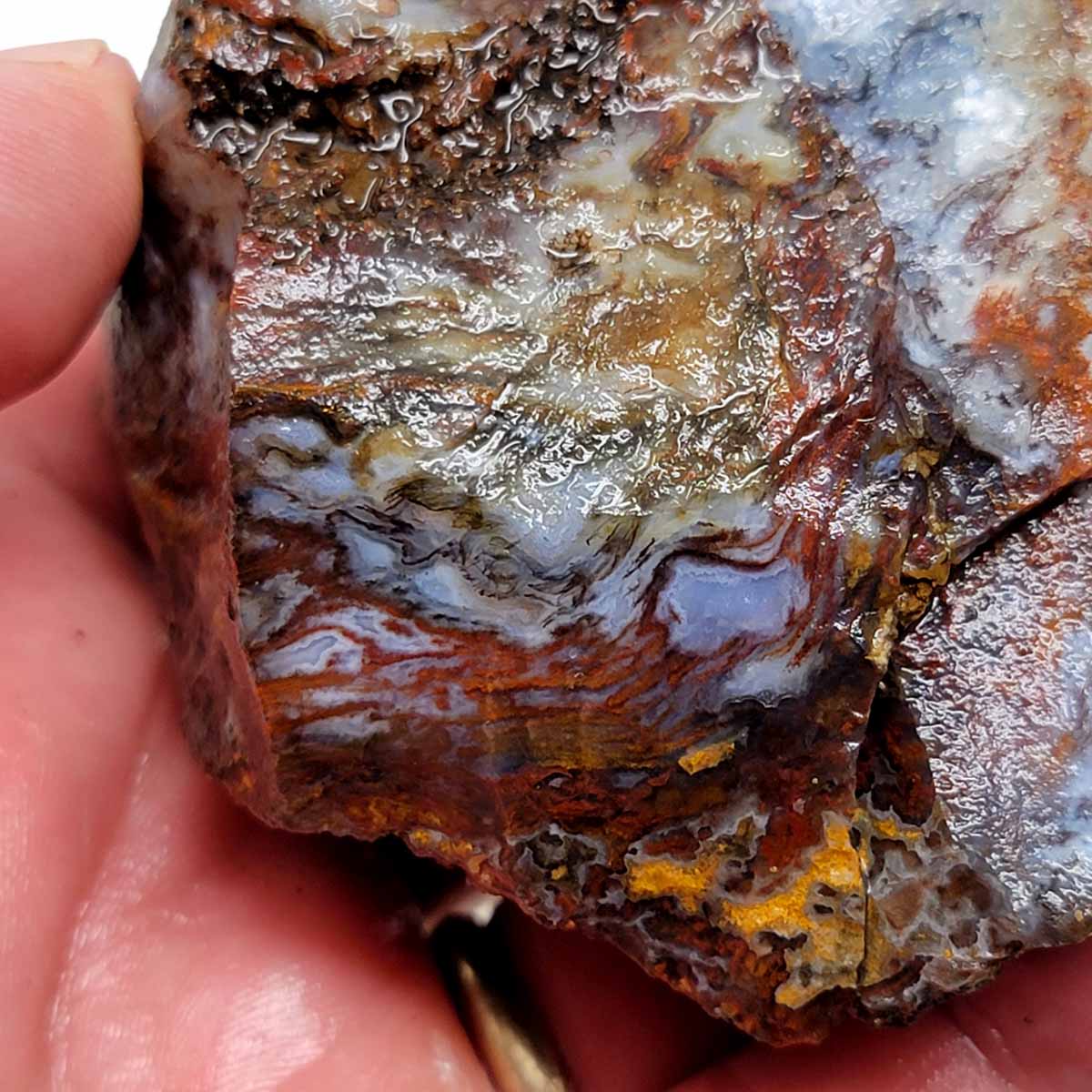 San Carlos Moss Agate Rough Chunk!