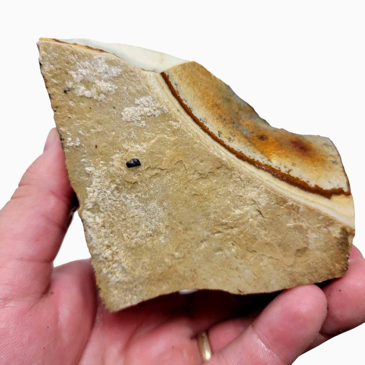 Chicken Track Picture Jasper Rough Chunk!