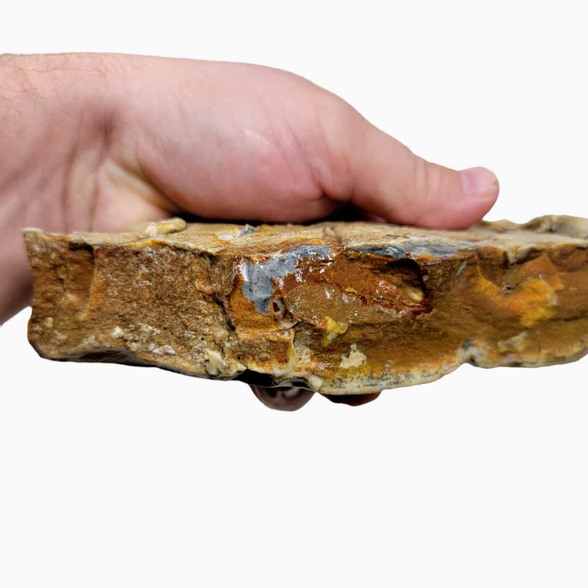 Chicken Track Picture Jasper Rough Chunk!