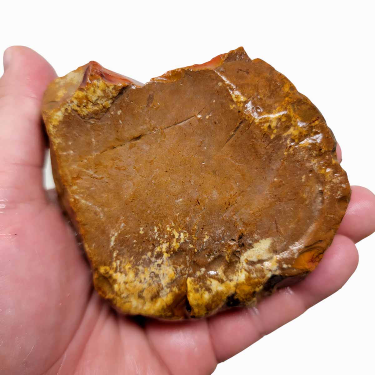 Polychrome Jasper Rough Polychrome Jasper Rough Chunk!