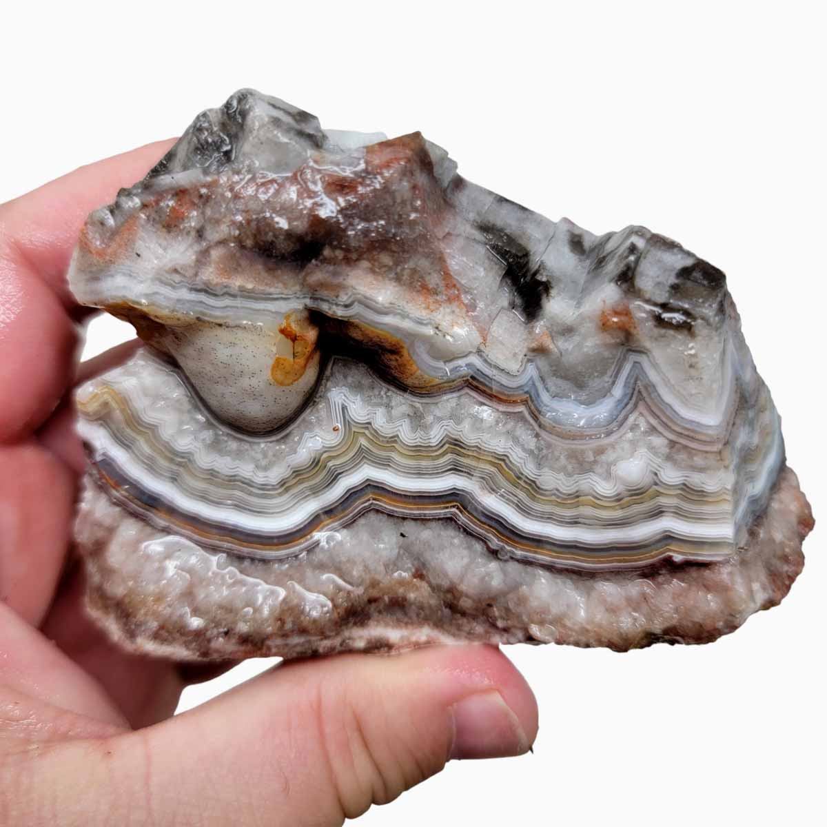 Old Vein Lace Agate Rough Chunk!