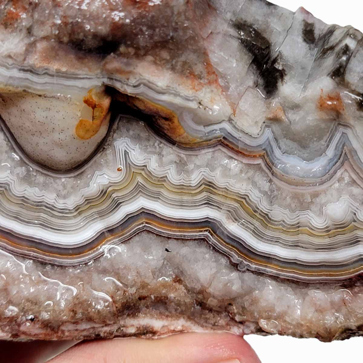 Old Vein Lace Agate Rough Chunk!