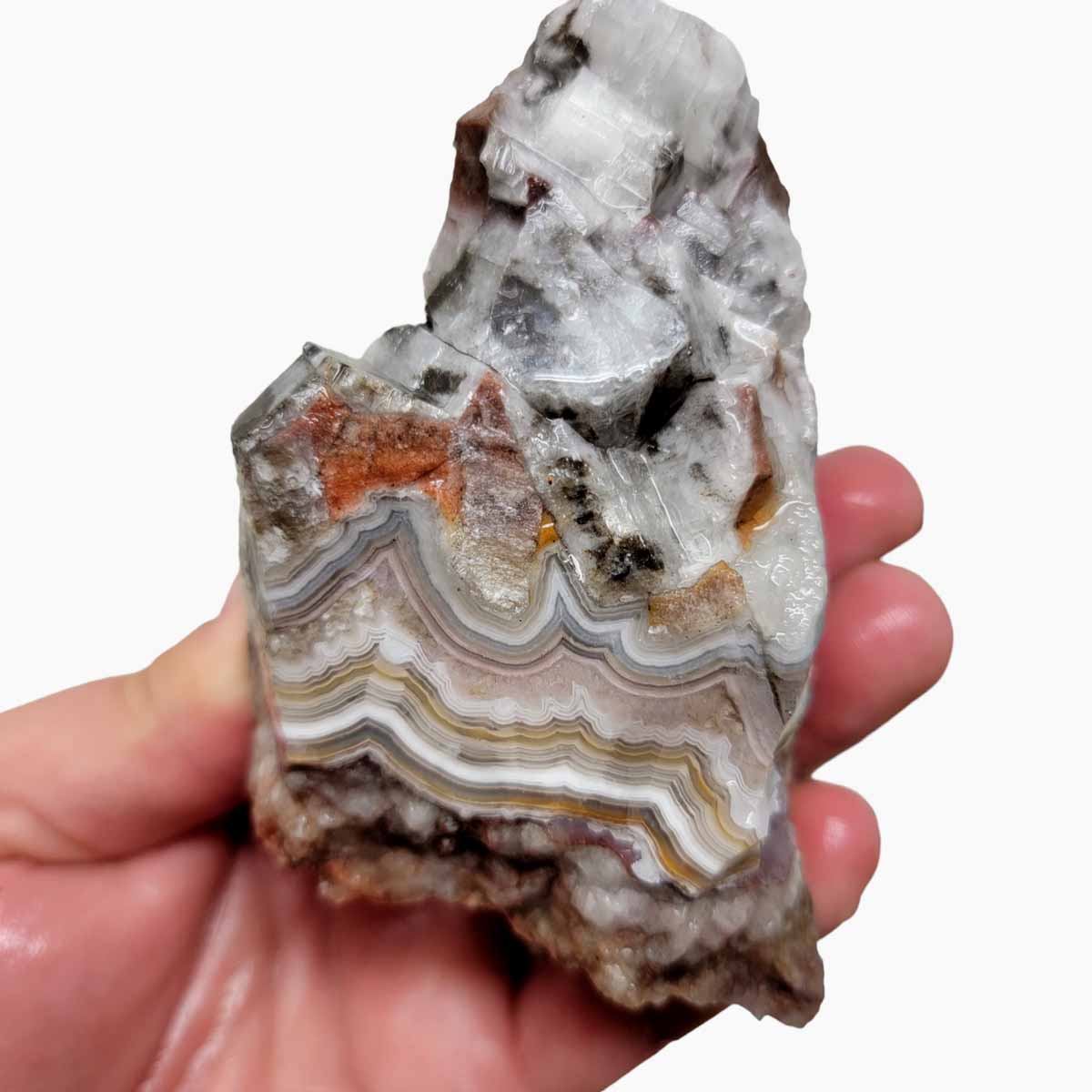 Old Vein Lace Agate Rough Chunk!